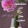 sshalaby622